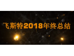 飛斯特汽車(chē)科技2018年度總結視頻